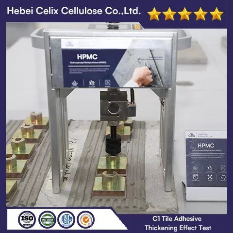 اختبار التخصيص