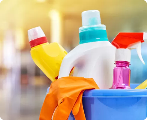 الرعاية المنزلية