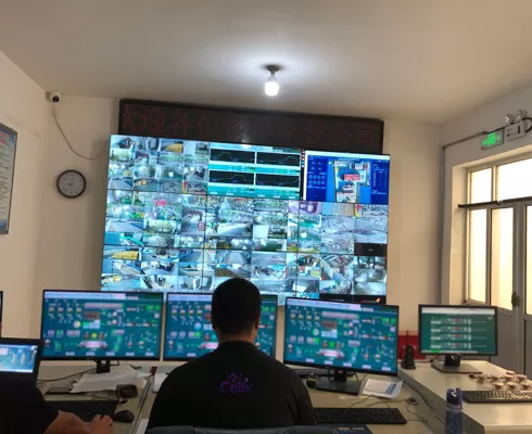 الامتثال للوائح