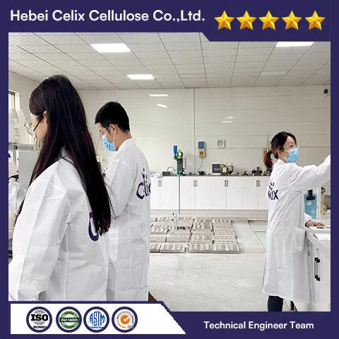 اختبار التخصيص