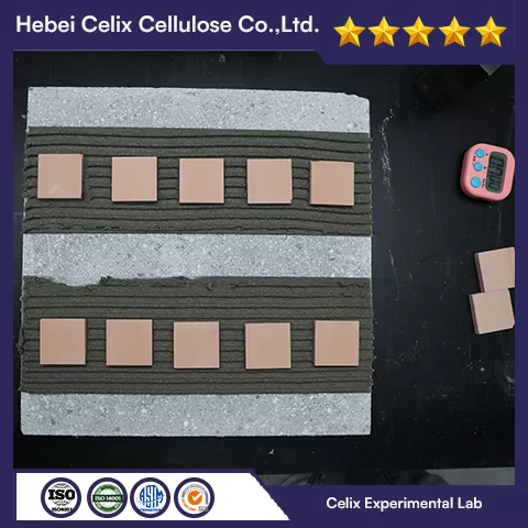 اختبار التخصيص