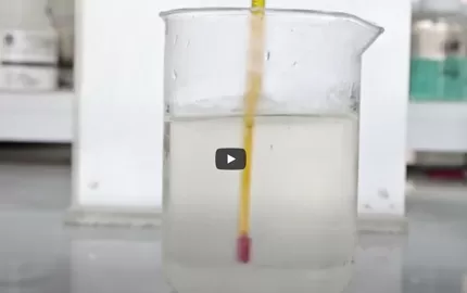 عرض سريع لشركة هيبي سيليكس السليلوز