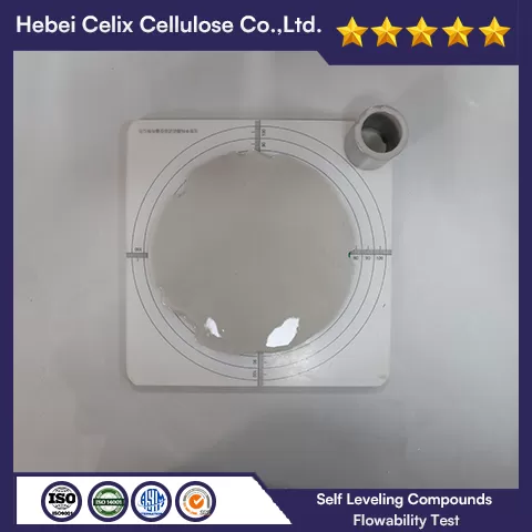 اختبار التخصيص