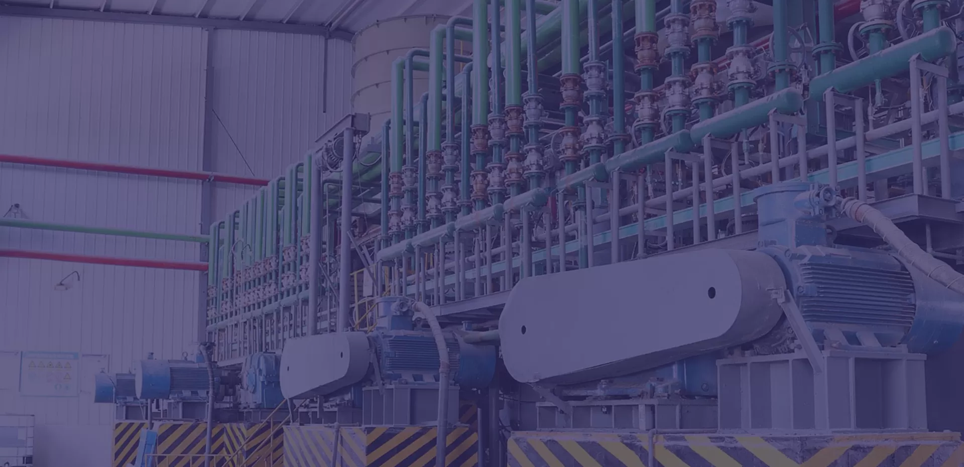 كل غرام واحد ، رعاية الحياة مع التفاني